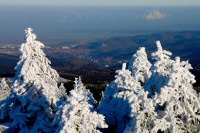 Blick Rtg. Wernigerode - 12,1/85,0 KB