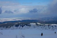 Blick nach Wernigerode - 6,8/48,5 KB