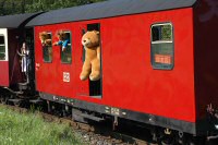 Teddybären im Pckwagen - 10,4/61,8 KB