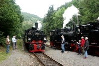 Zugkreuzung im Bf Eisfelder Talmühle - 11,6/91,7 KB