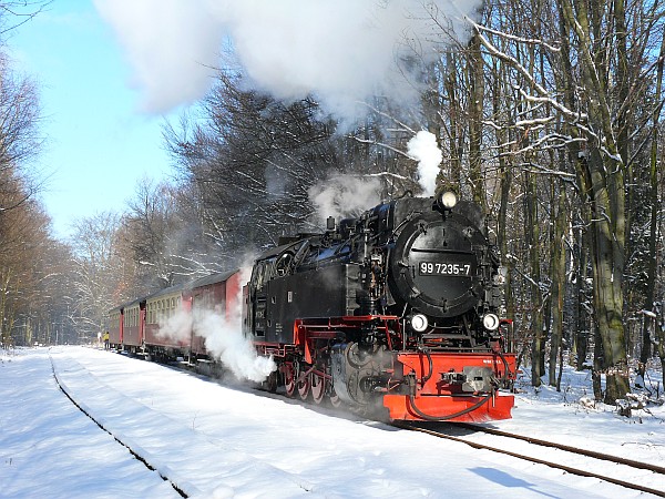 Lok 99&nbsp;7235 im Bahnhof Sternhaus-Ramberg am 05.02.2012; Foto: Siegmar Frenzel