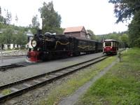 HSB-Sonderzug mit Lok 99 6101 und FKS-Sonderzug mit Triebwagen 187 001 im Bahnhof Alexisbad (2)