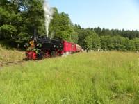 Teddybärenzug beim Fotohalt zwischen Haltepunkt Sternhaus Haferfeld und Bahnhof Sternhaus Ramberg (1)