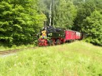 Teddybärenzug beim Fotohalt zwischen Haltepunkt Sternhaus Haferfeld und Bahnhof Sternhaus Ramberg (2)