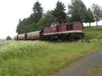 Sonderzug 89101 mit Diesellok 199 874 beim Fotohalt vor Stiege