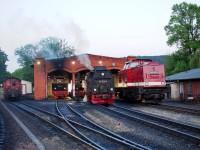 Lokschuppen des Bahnhofs Gernrode (Harz) am Abend: Lok 99 6001 auf Stand 1, Lok 99 5906 auf Stand 2, Lok 99 7239 vor Stand 2 und Lok 199 861 vor Stand 3