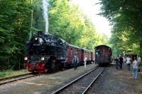 Im Bahnhof Sternhaus Ramberg begegnet die Sonderfahrt mit Lok 99 6001 dem Planzug N 8960.