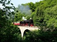 Sonderzug auf der Berebrücke hinter Ilfeld-Bad