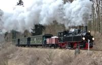 Lok 99 5901 mit Sonderzug im Langen Tal vor Harzgerode