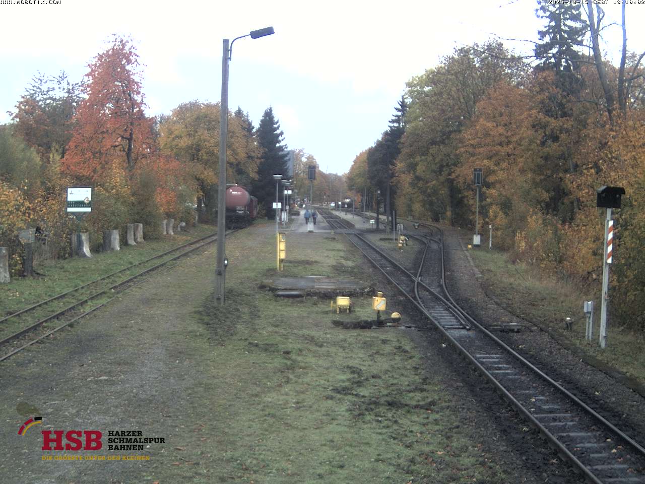 WebCam-Foto