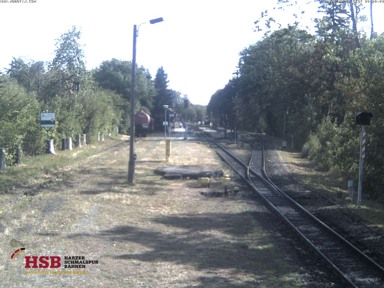 WebCam-Foto