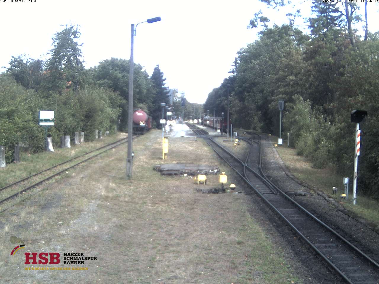 WebCam-Foto